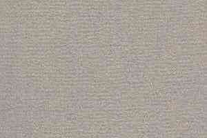 Ковролин Radici Nexus Perla 8209 фото  | FLOORDEALER